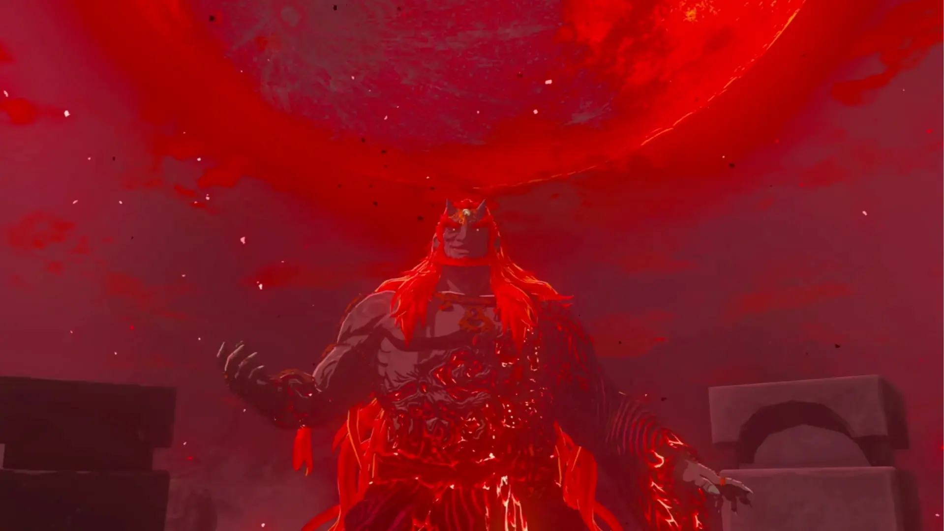 hyrule-warriors-aoi-ganondorf-prime