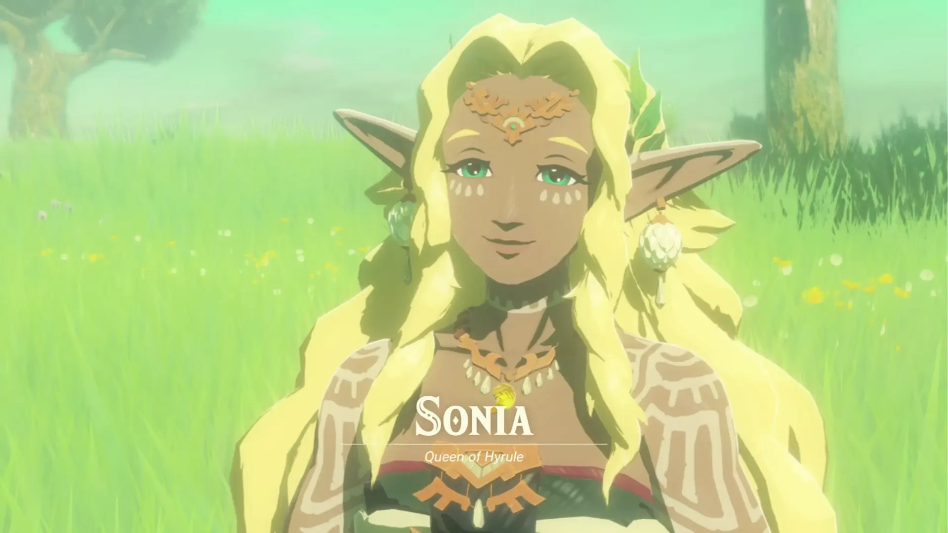 hyrule-warriors-aoi-sonia