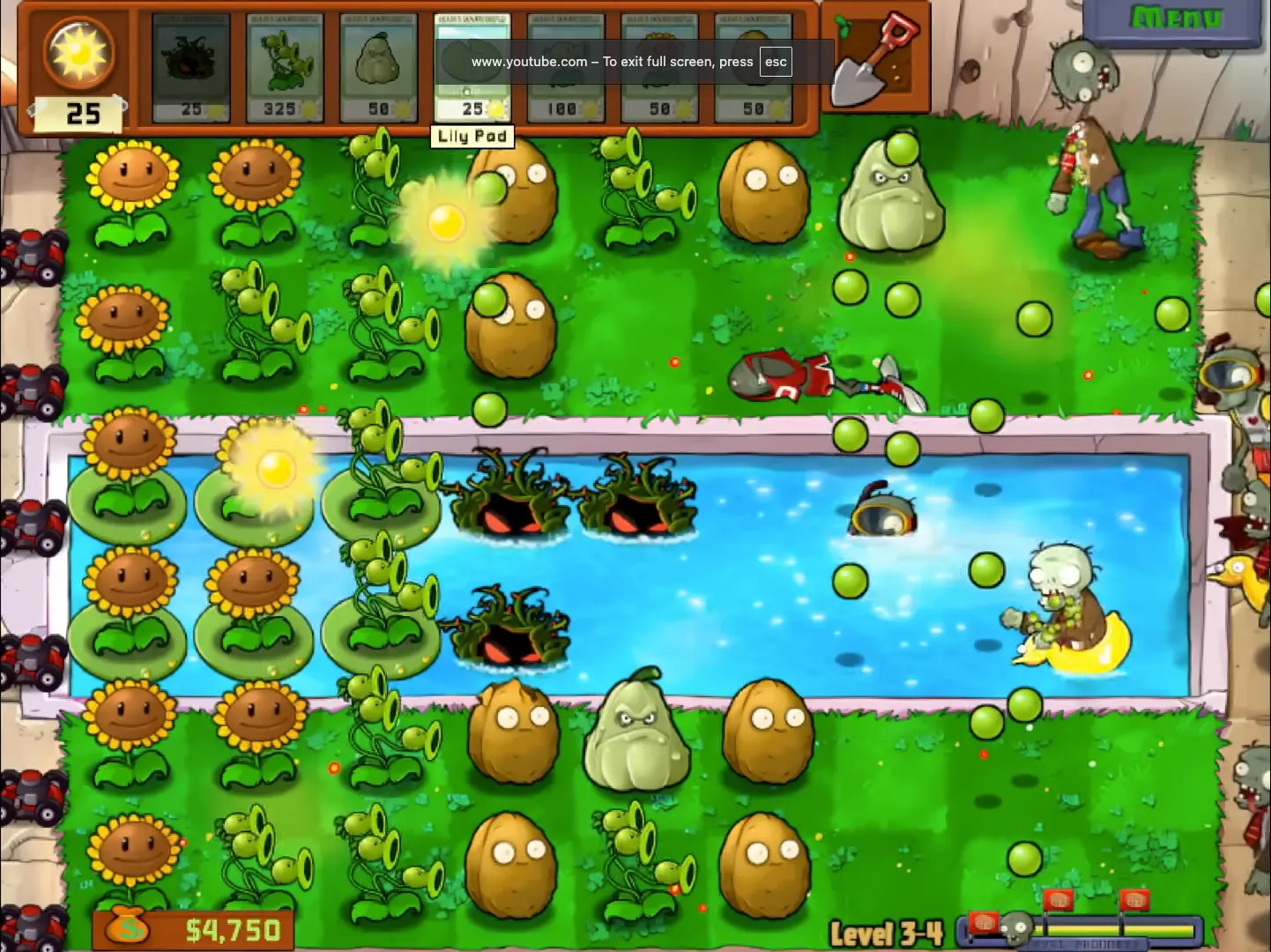 Strategic plant placement in a pool level, featuring Lily Pads and Tangle Kelp.