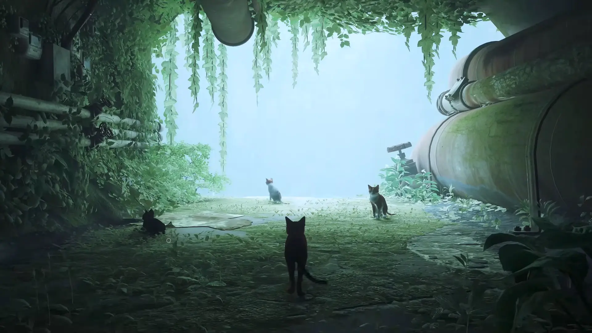 The Stray cat sitting quietly with its feline family among lush, sunlit green ruins before the fall.