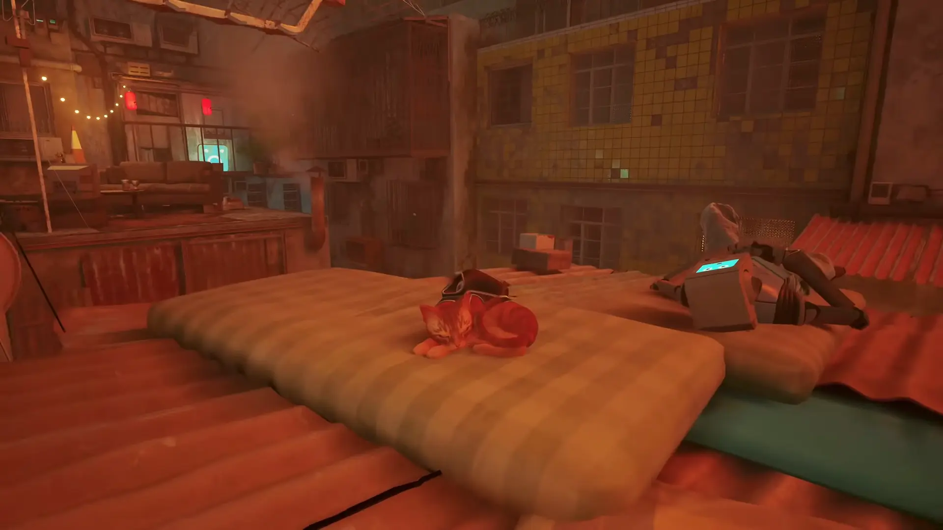 The ginger cat curled up in a tight ball, peacefully sleeping on an ornate rug inside a cozy, dimly lit room.