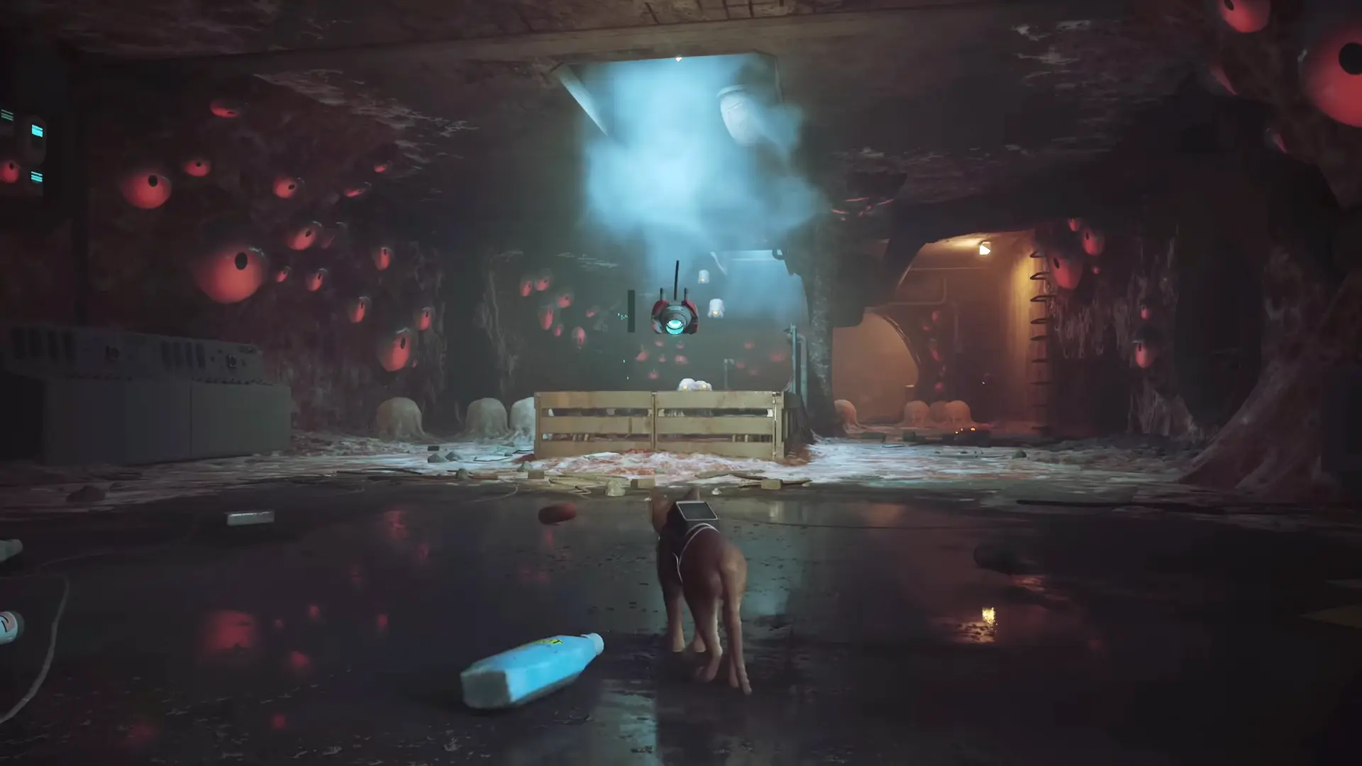 A still, eerie look at a dark tunnel completely overgrown with pulsating, fleshy orange Zurk bio-matter.