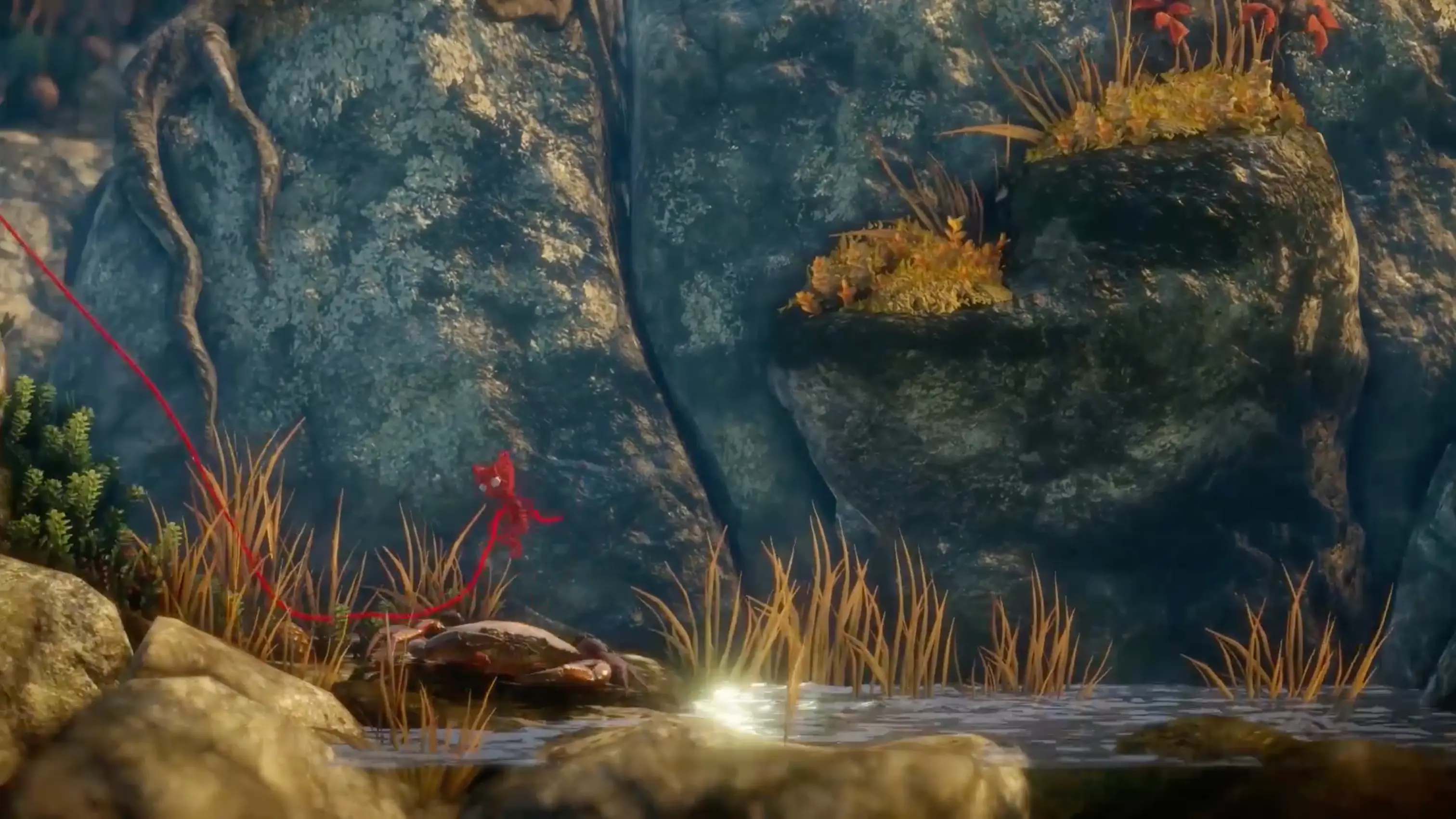 Yarny carefully navigating the shoreline, trying to avoid the snapping claws of a large crab.