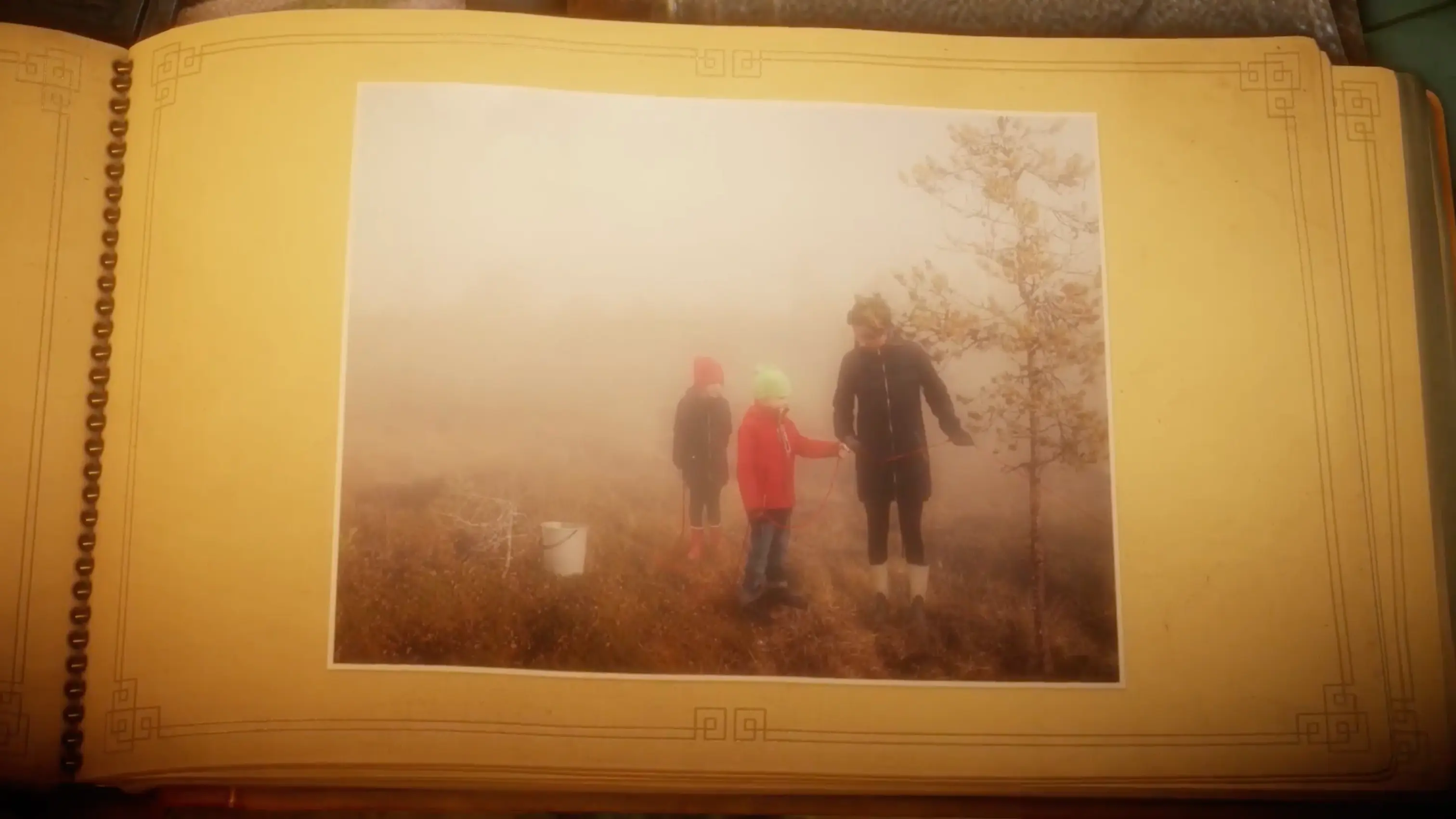 The old photo album slowly filling up with restored pictures and yarn badges at the end of a level.